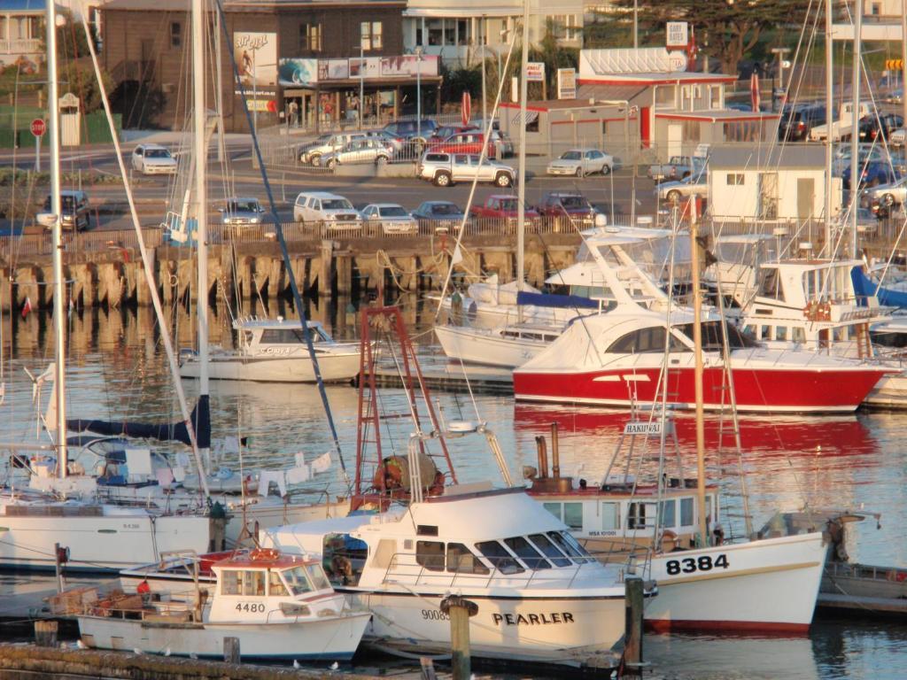 Marina View Apartments Gisborne Eksteriør billede