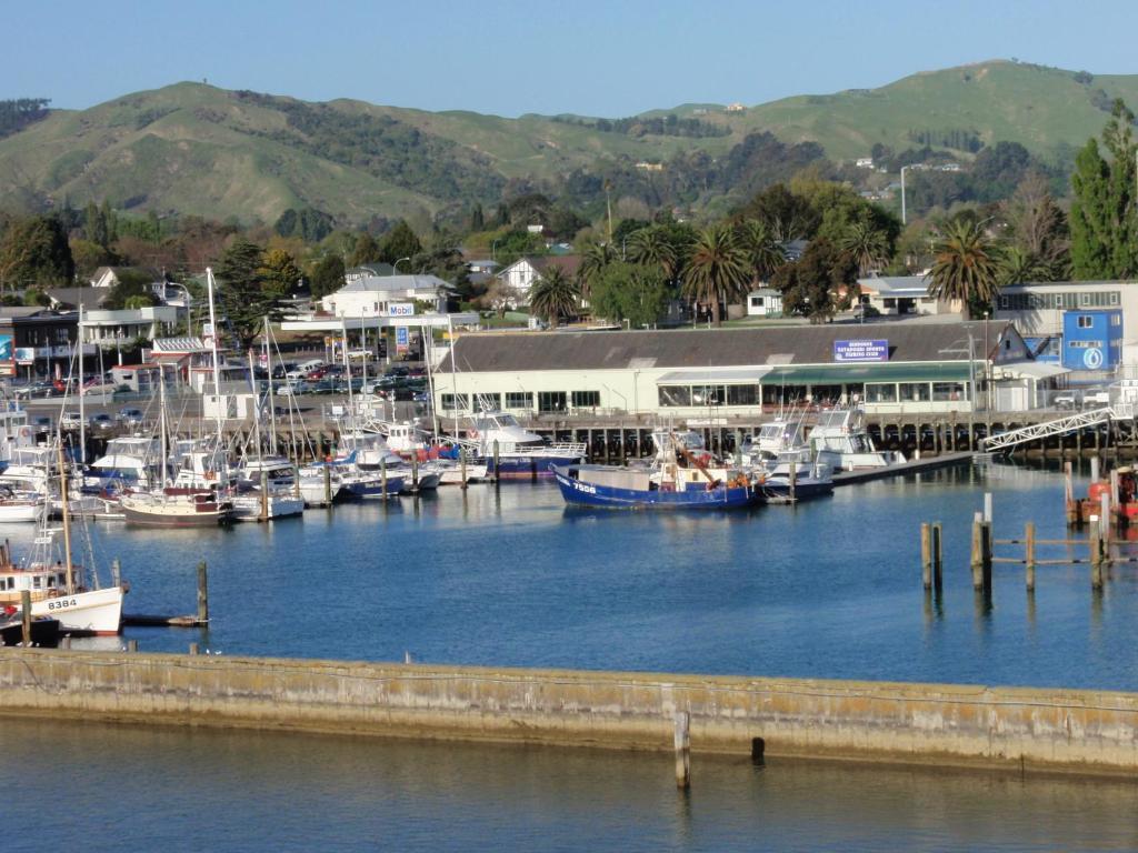 Marina View Apartments Gisborne Værelse billede