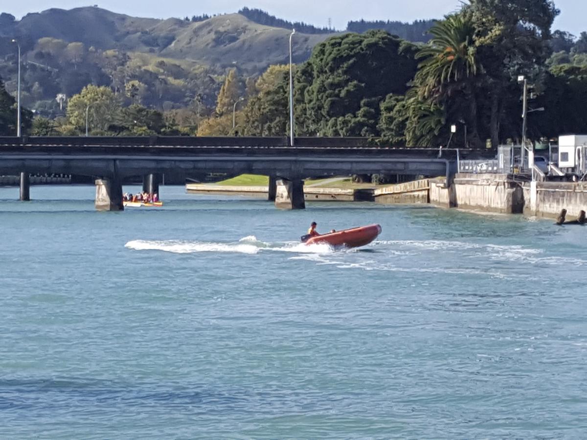 Marina View Apartments Gisborne Eksteriør billede