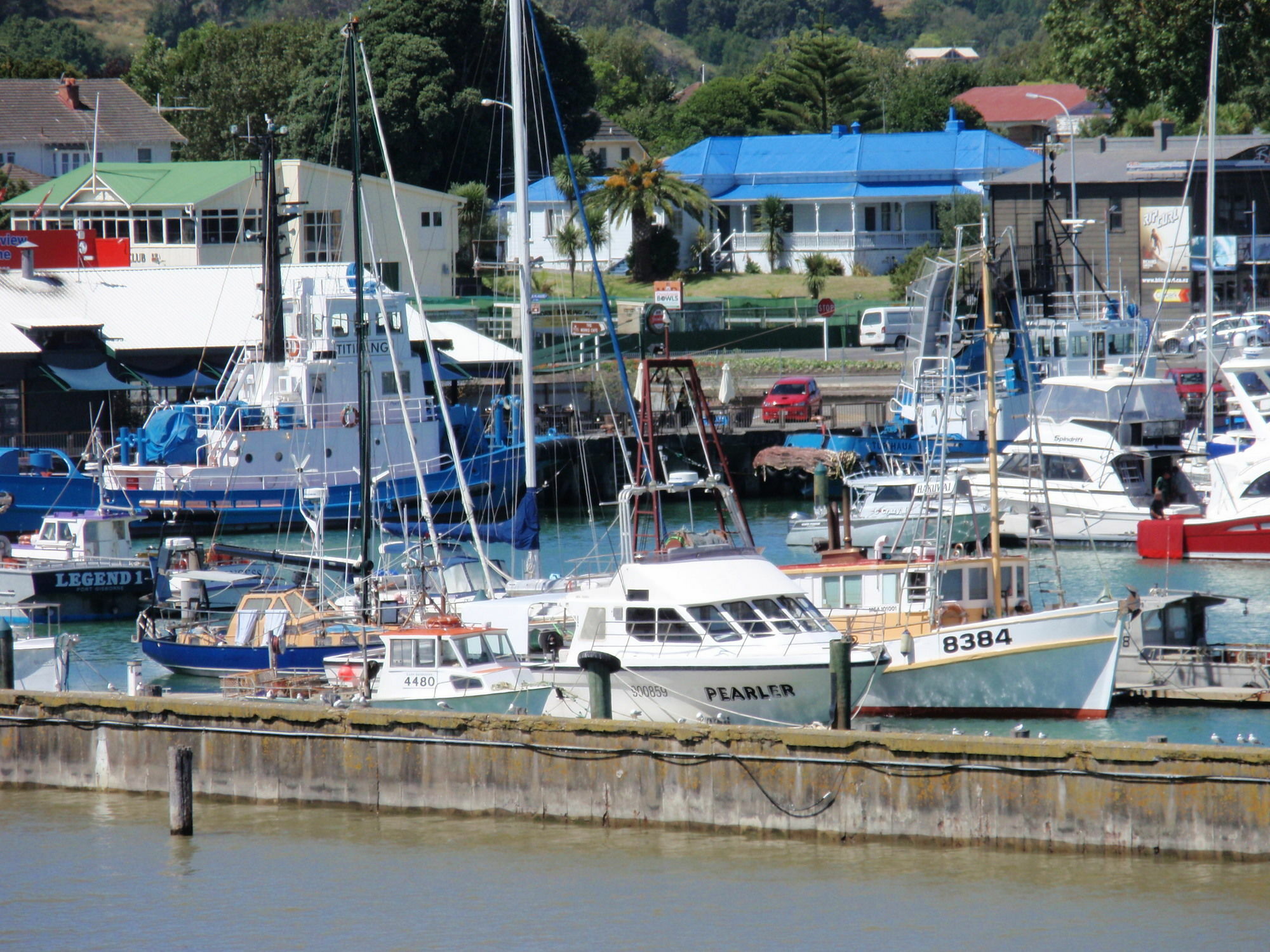 Marina View Apartments Gisborne Eksteriør billede